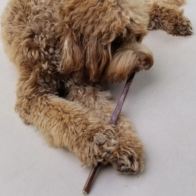 Bully Bunches 12 Inch Beef Jerky Stick - Image 3