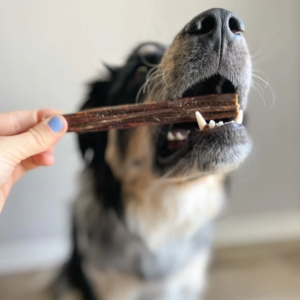 Bully Bunches 6 Inch Beef Jerky Stick - Image 4