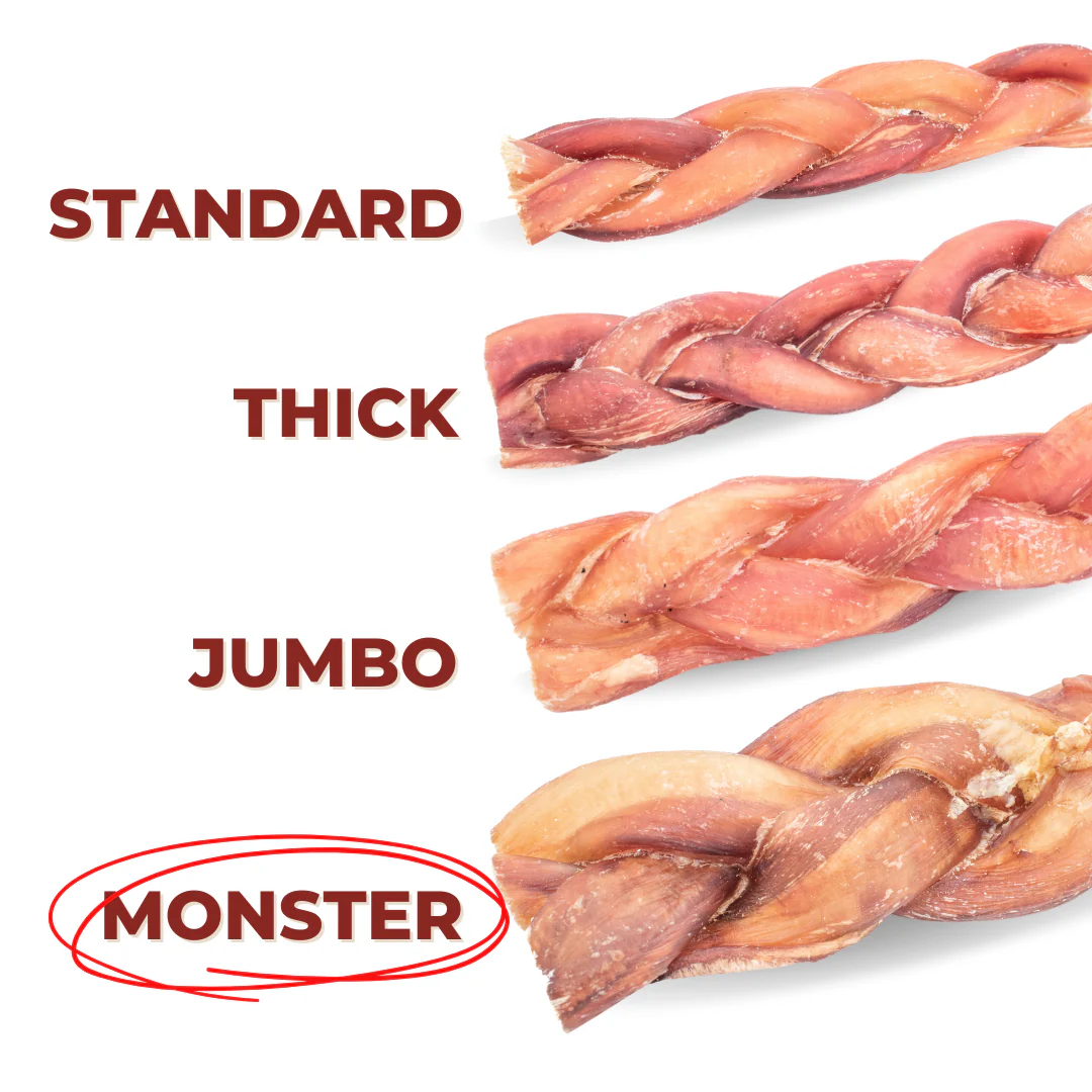 Bully Bunches 6 Inch Monster Braided Bully Stick - Image 3