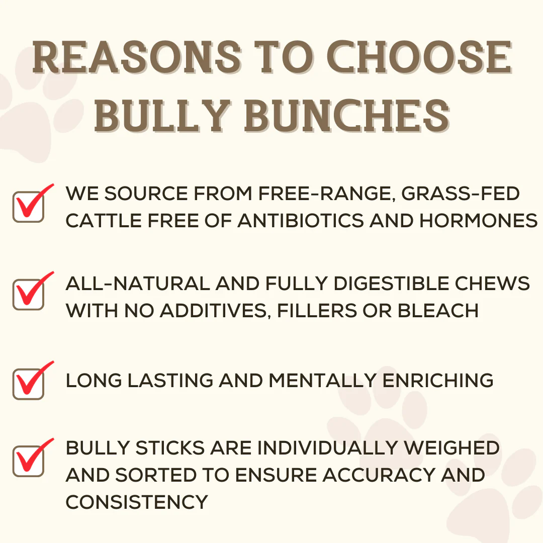 Bully Bunches 6 Inch Thick Bully Stick - Image 7