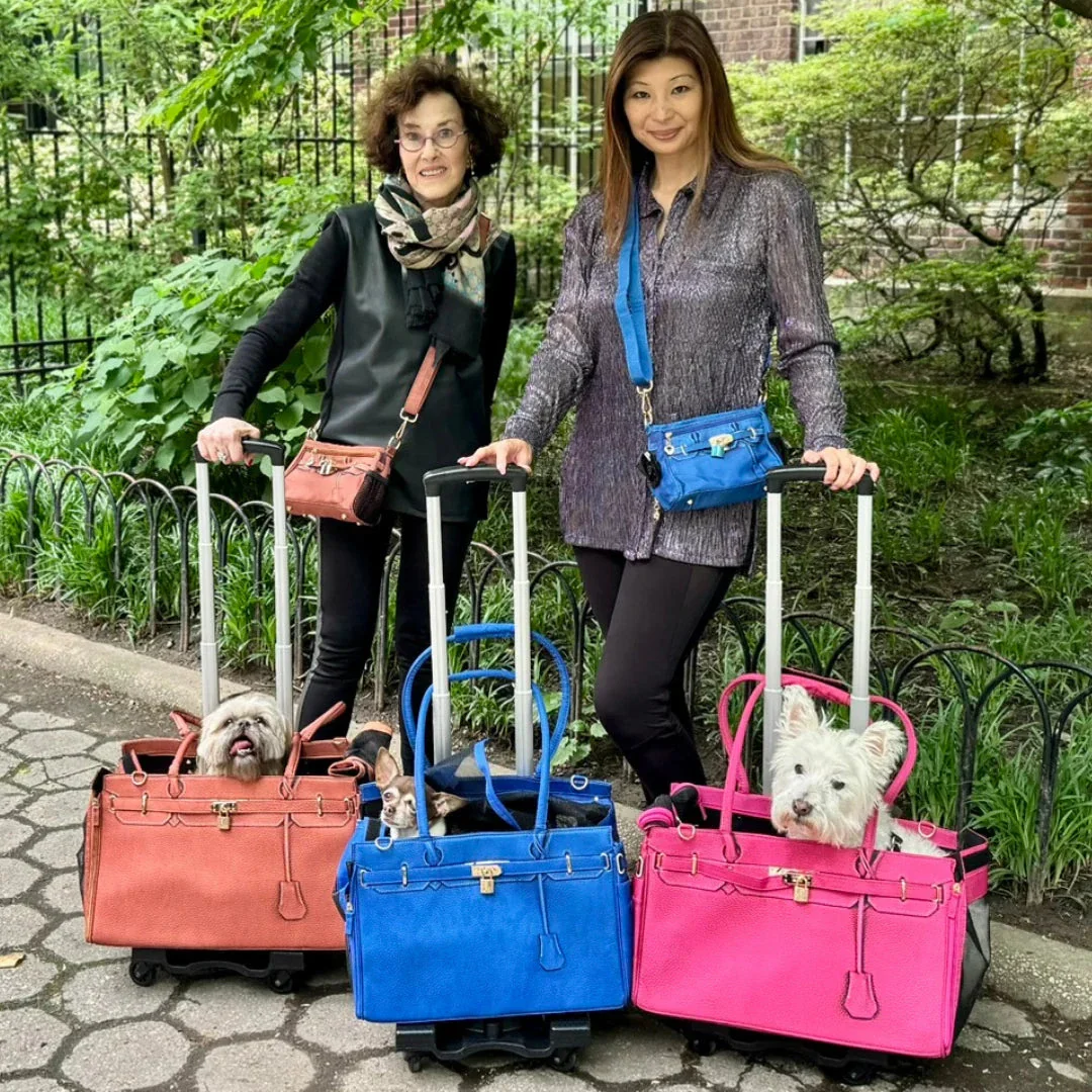 A Pet with Paws® Madison Carrier With Pet Trek Wheelbase - Image 24
