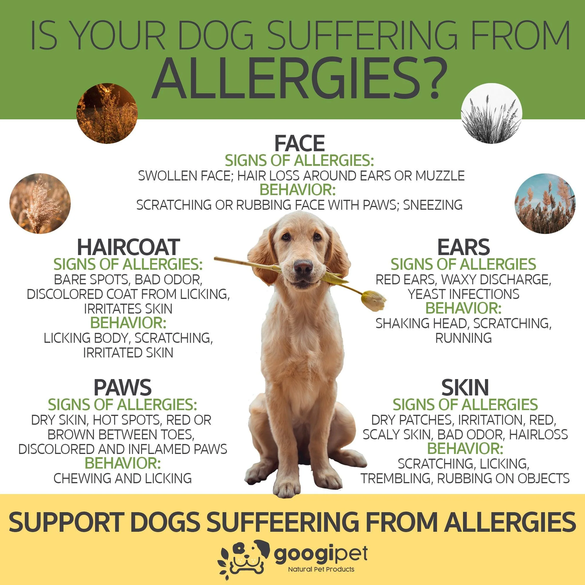 Googipet Allergy & Immune Support Chews for Dogs (Coconut & Carob Flavor) - Image 8