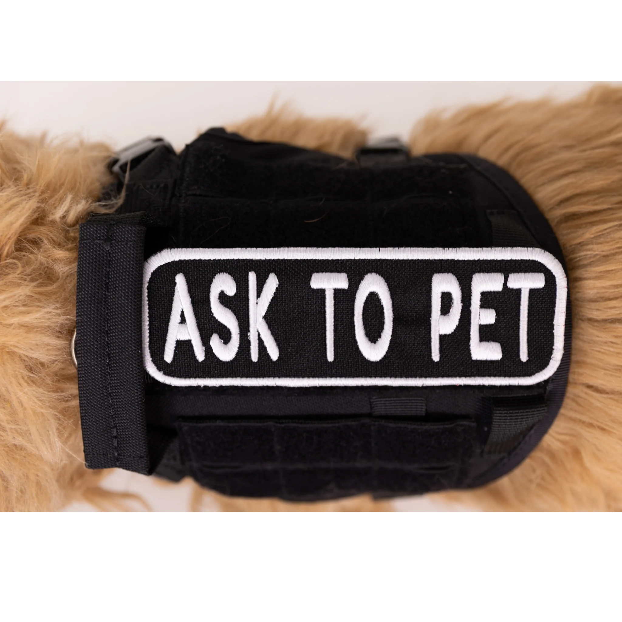 Ask to Pet 2x6 Patch - Image 3