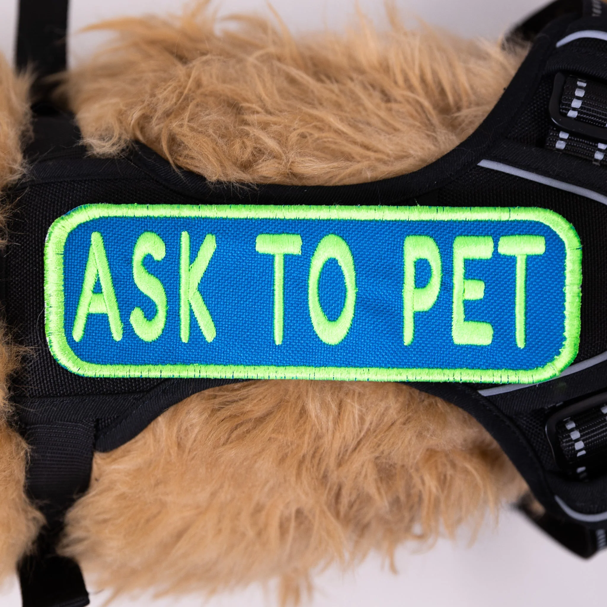 Ask to Pet 2x6 Patch - Image 6