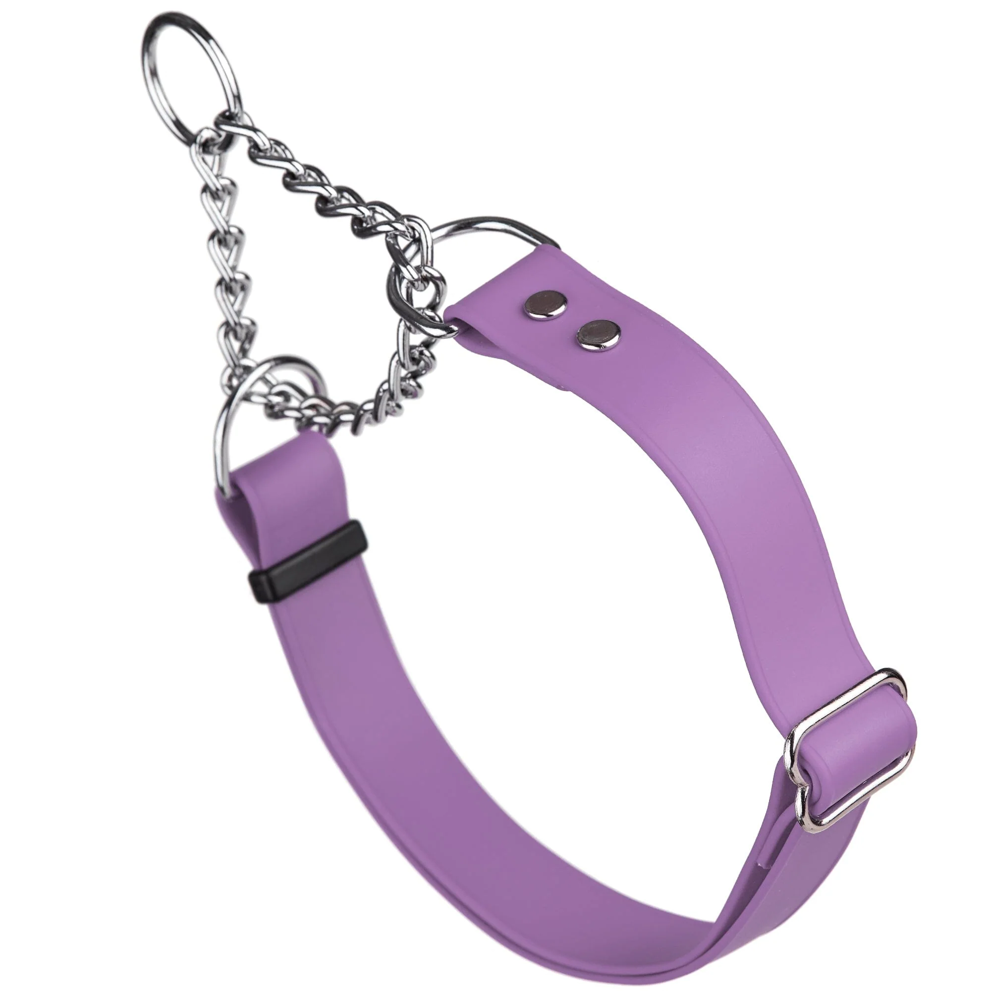 Biothane Adjustable Martingale Collar for Dogs - Image 25