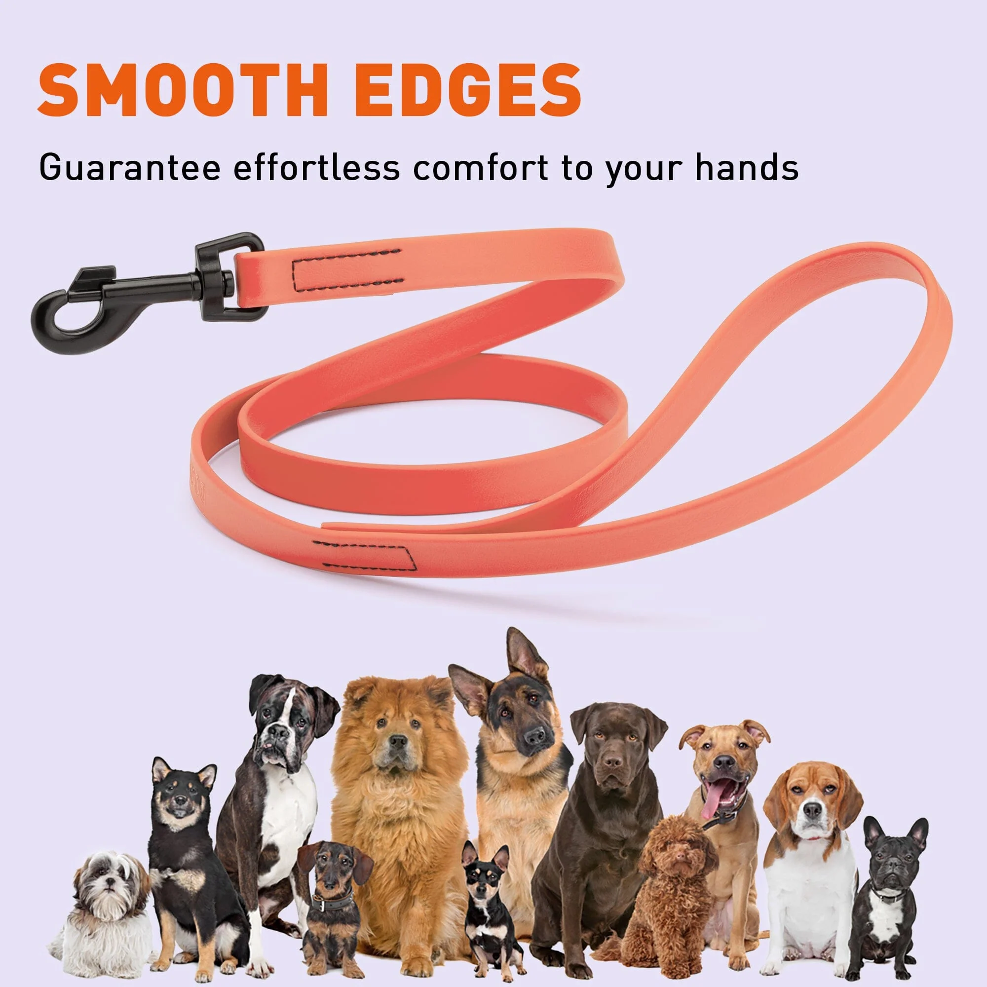 Biothane Waterproof Dog Leash, 4 ft - Image 12