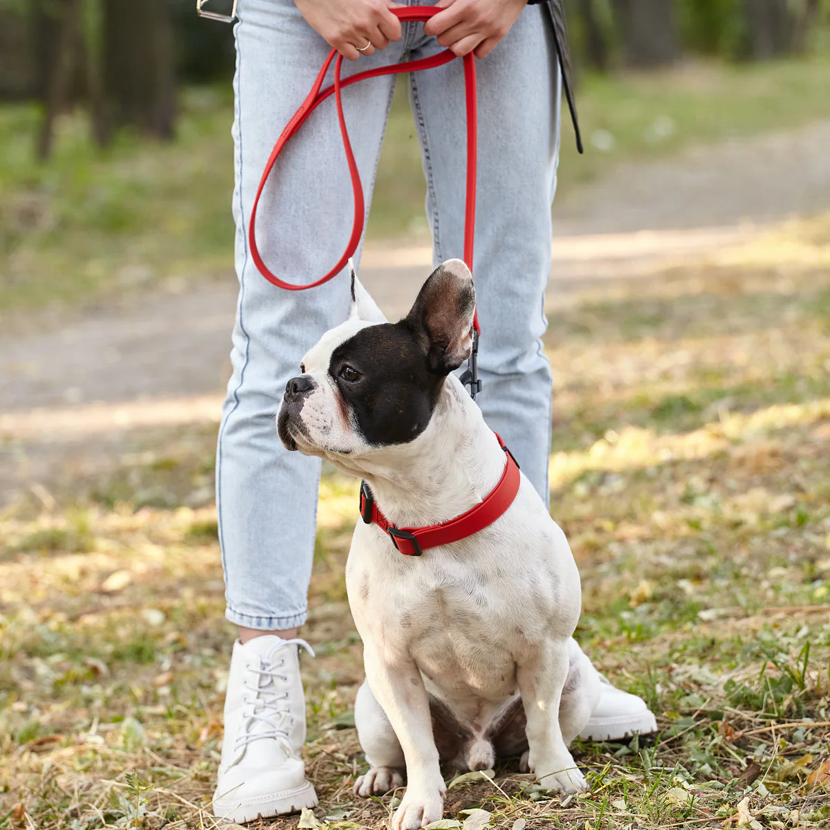 Biothane Waterproof Dog Leash, 4 ft - Image 7