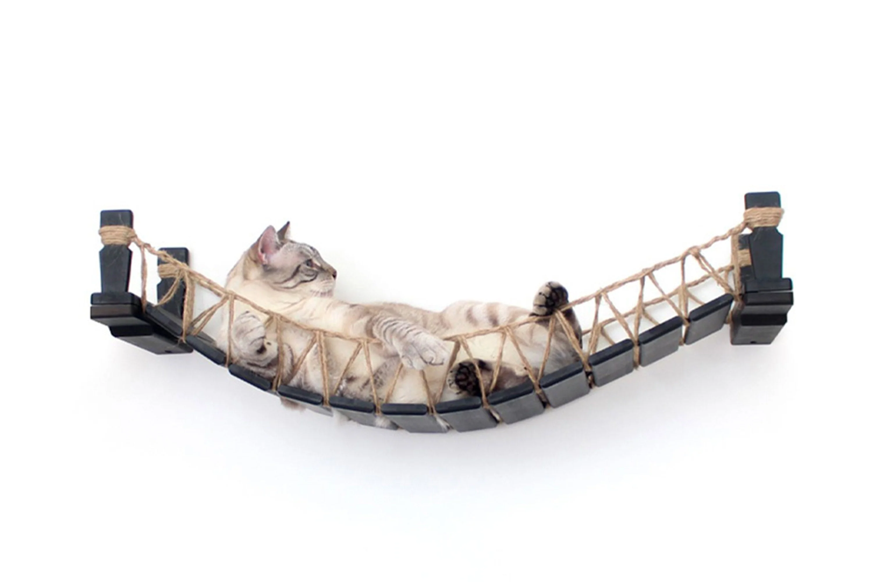 Catastrophic Creations Cat Bridge for Wall