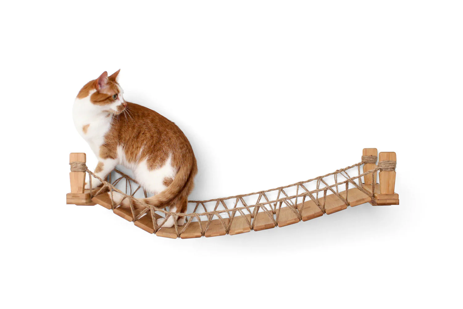 Catastrophic Creations Cat Bridge for Wall - Image 17