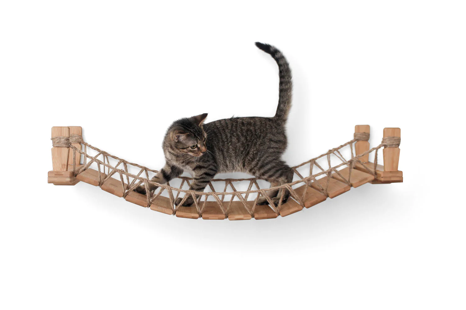 Catastrophic Creations Cat Bridge for Wall - Image 4