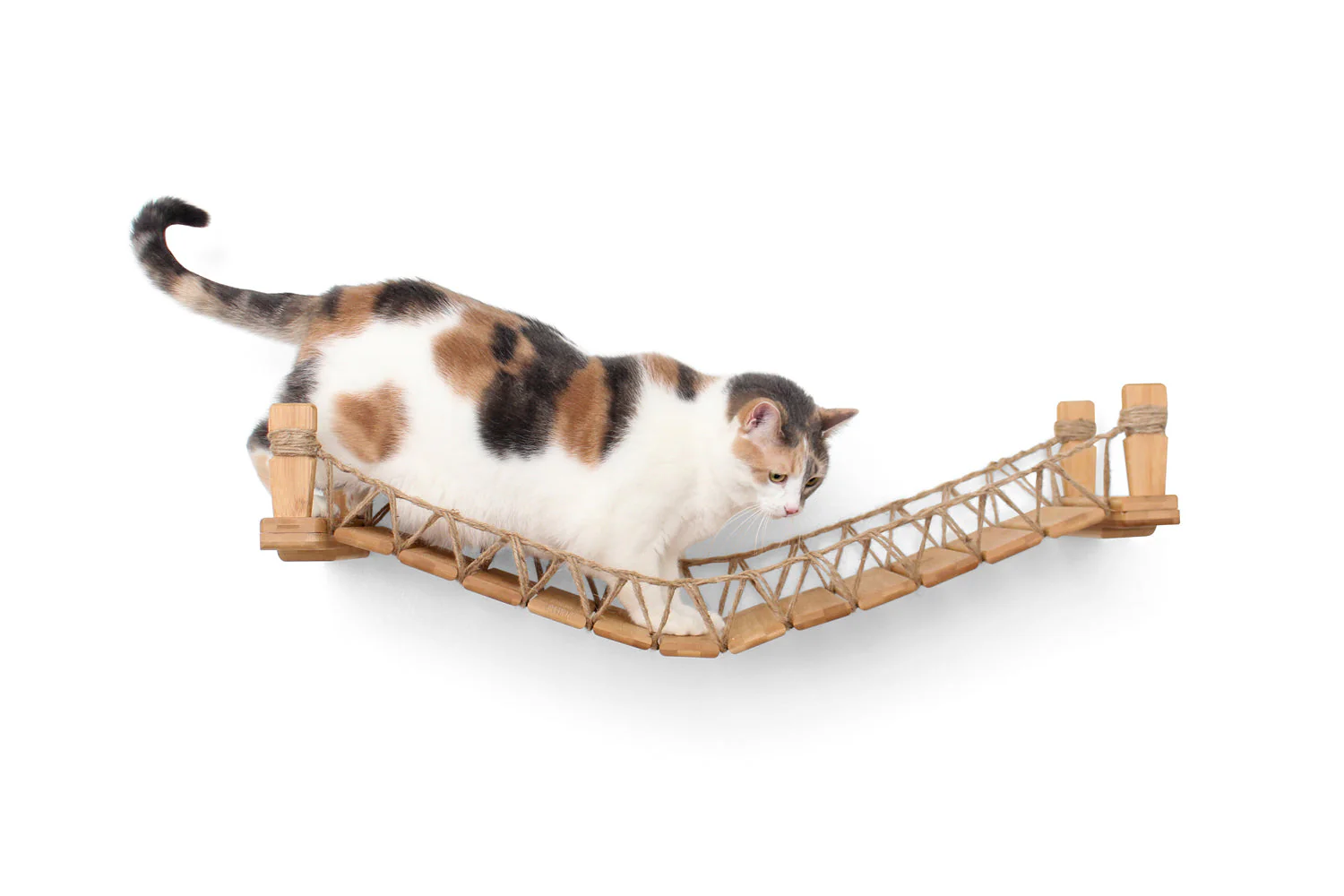 Catastrophic Creations Cat Bridge for Wall - Image 8