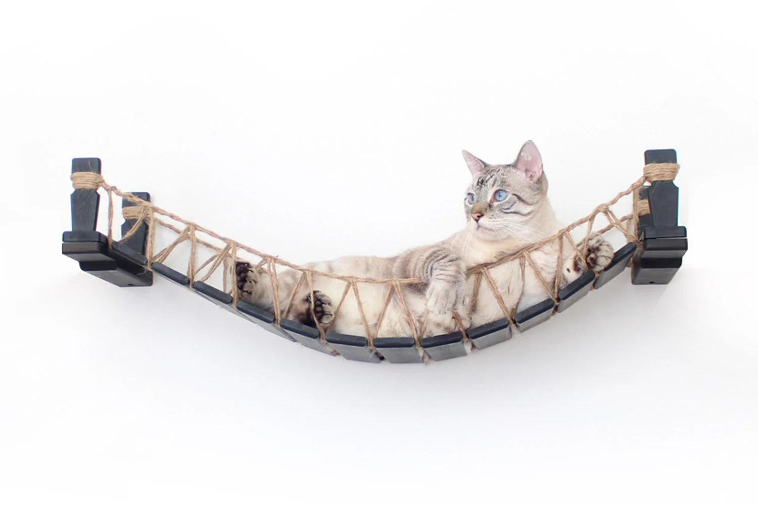 Catastrophic Creations Cat Bridge for Wall - Image 9