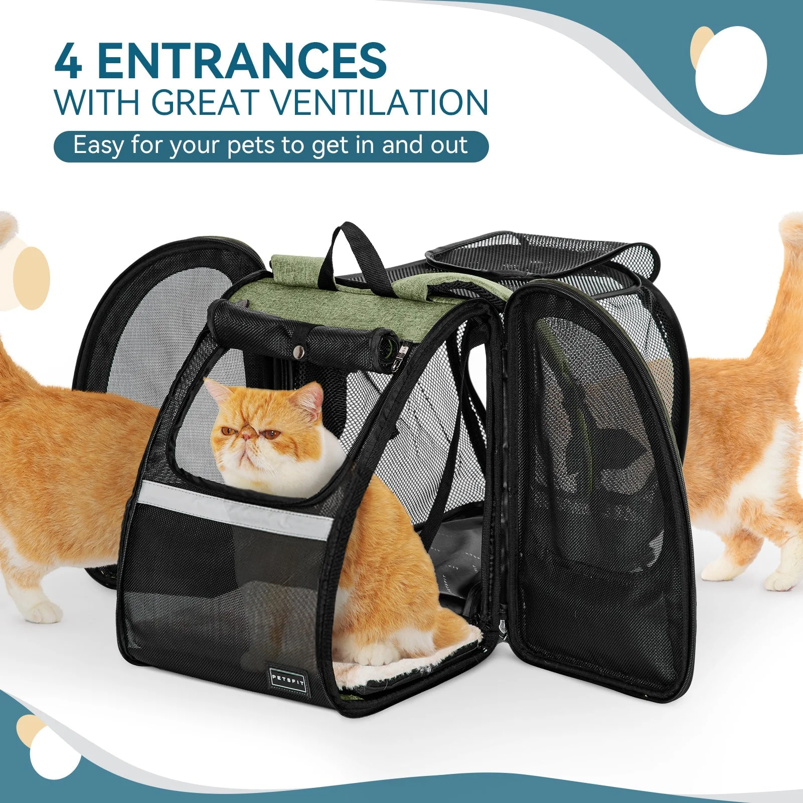 Petsfit Expandable Backpack Carrier - Image 3