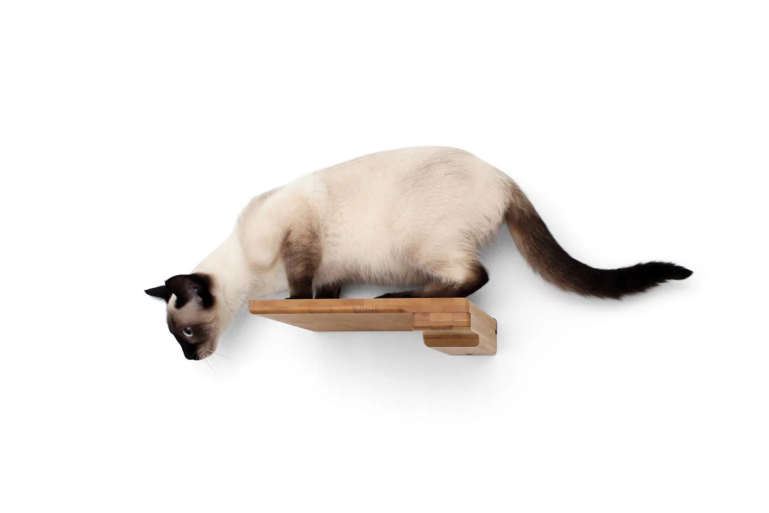 Catastrophic Creations Cat Climbing Shelf - Image 20