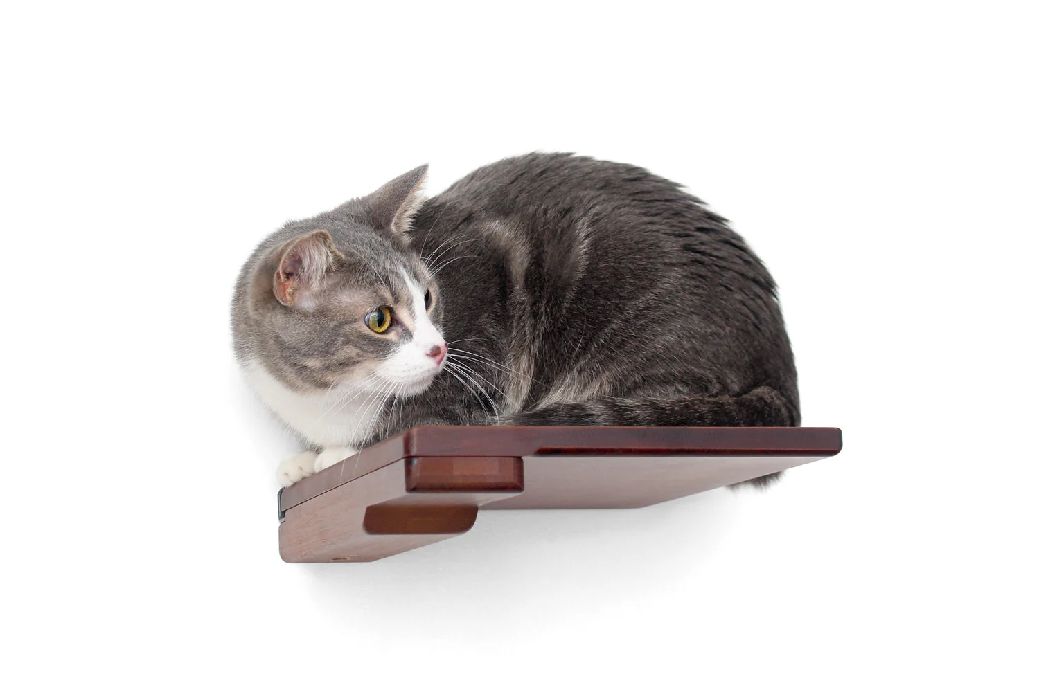 Catastrophic Creations Cat Climbing Shelf - Image 5