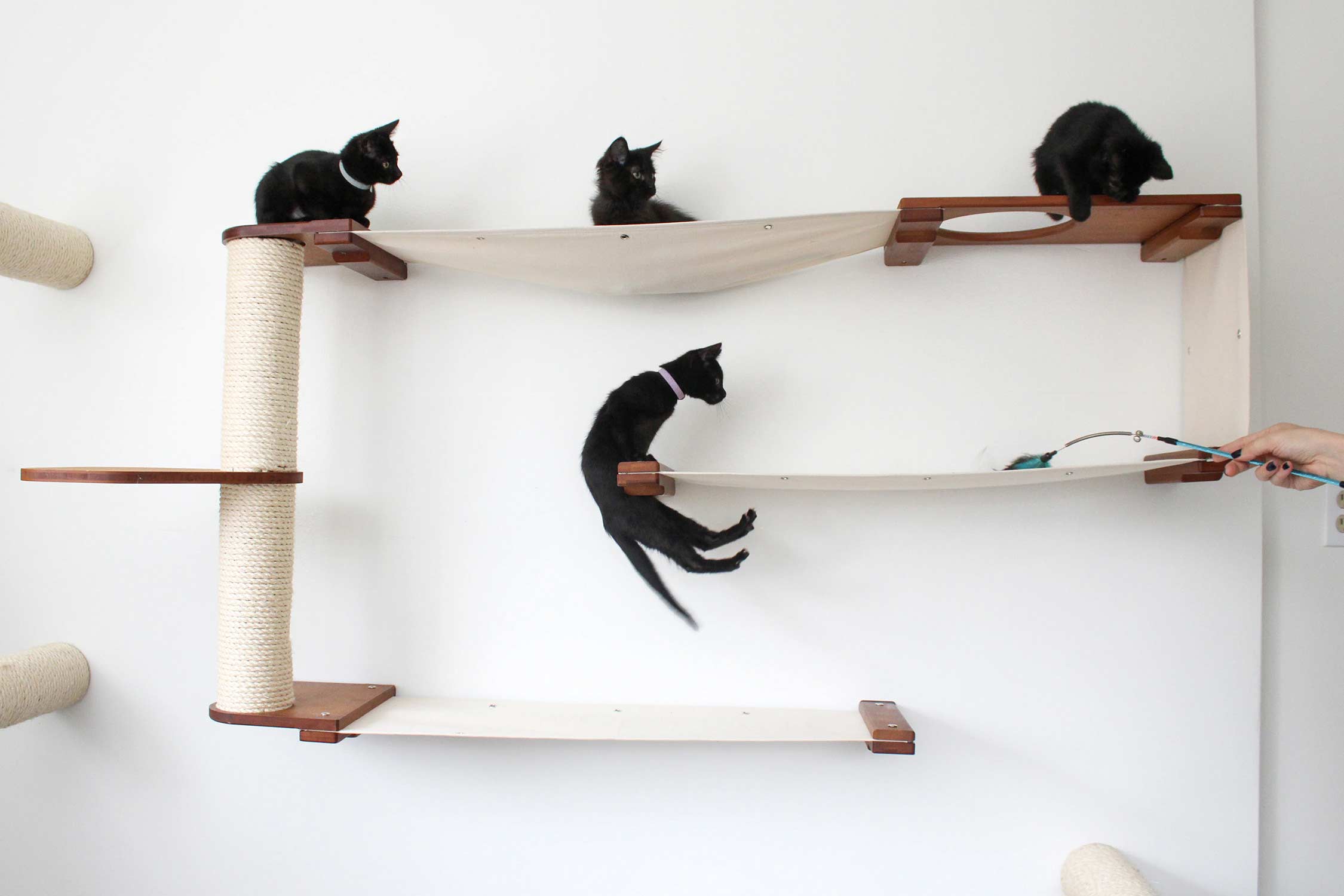 Catastrophic Creations Cat Maze Wall - 3 Tier Cat Tree - Image 13