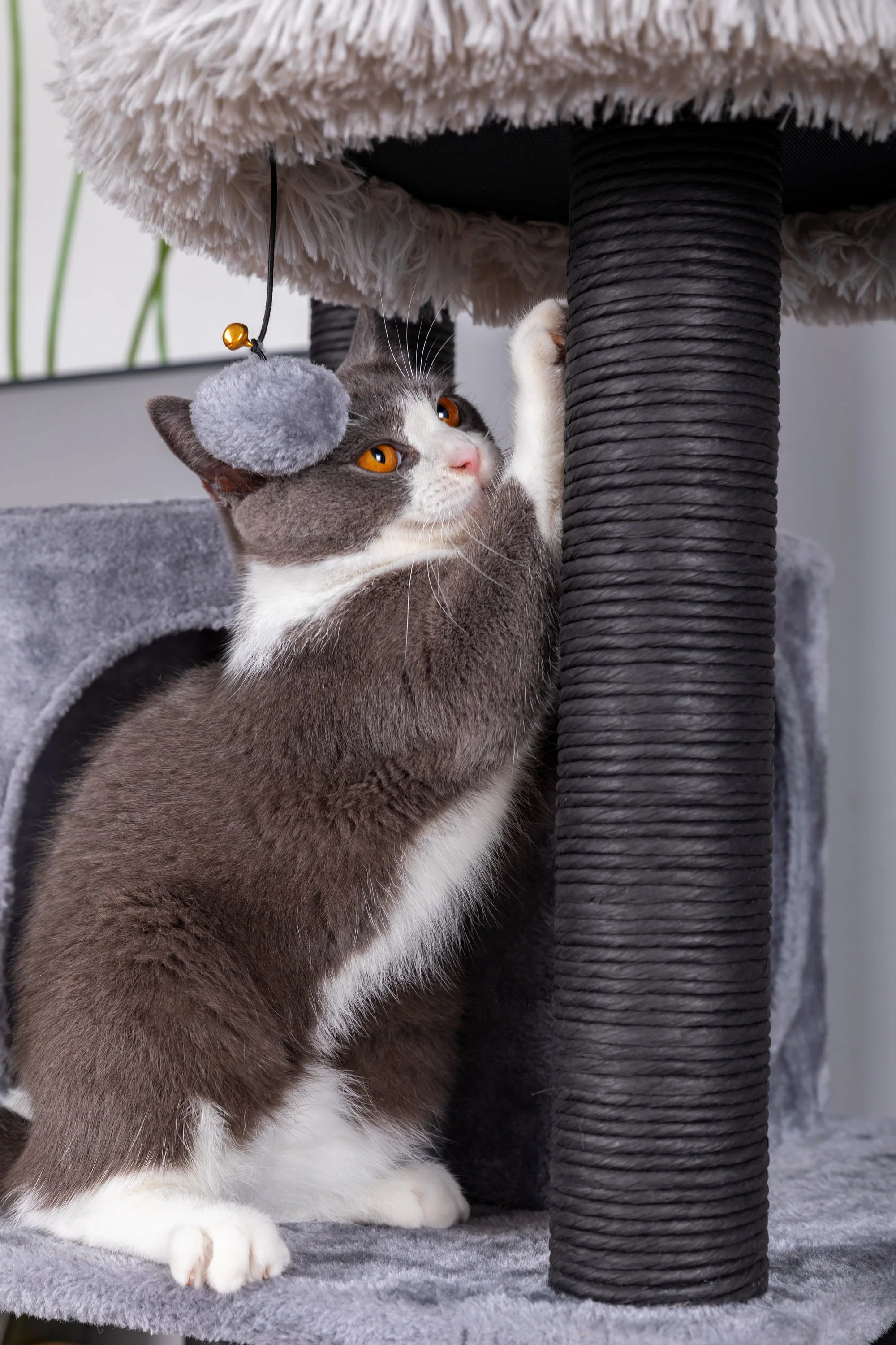 Catry Bradbury 7 Level Gray Cat Tree - Image 9