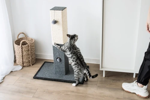 Catry Natural Minimalist Cat Tree Cat Scratching Post with Natural Sisal Rope and Toys - Image 3