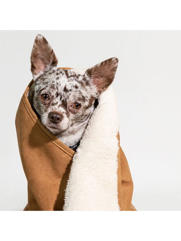Sleepypod Cloudpuff Pet Blanket - Image 5