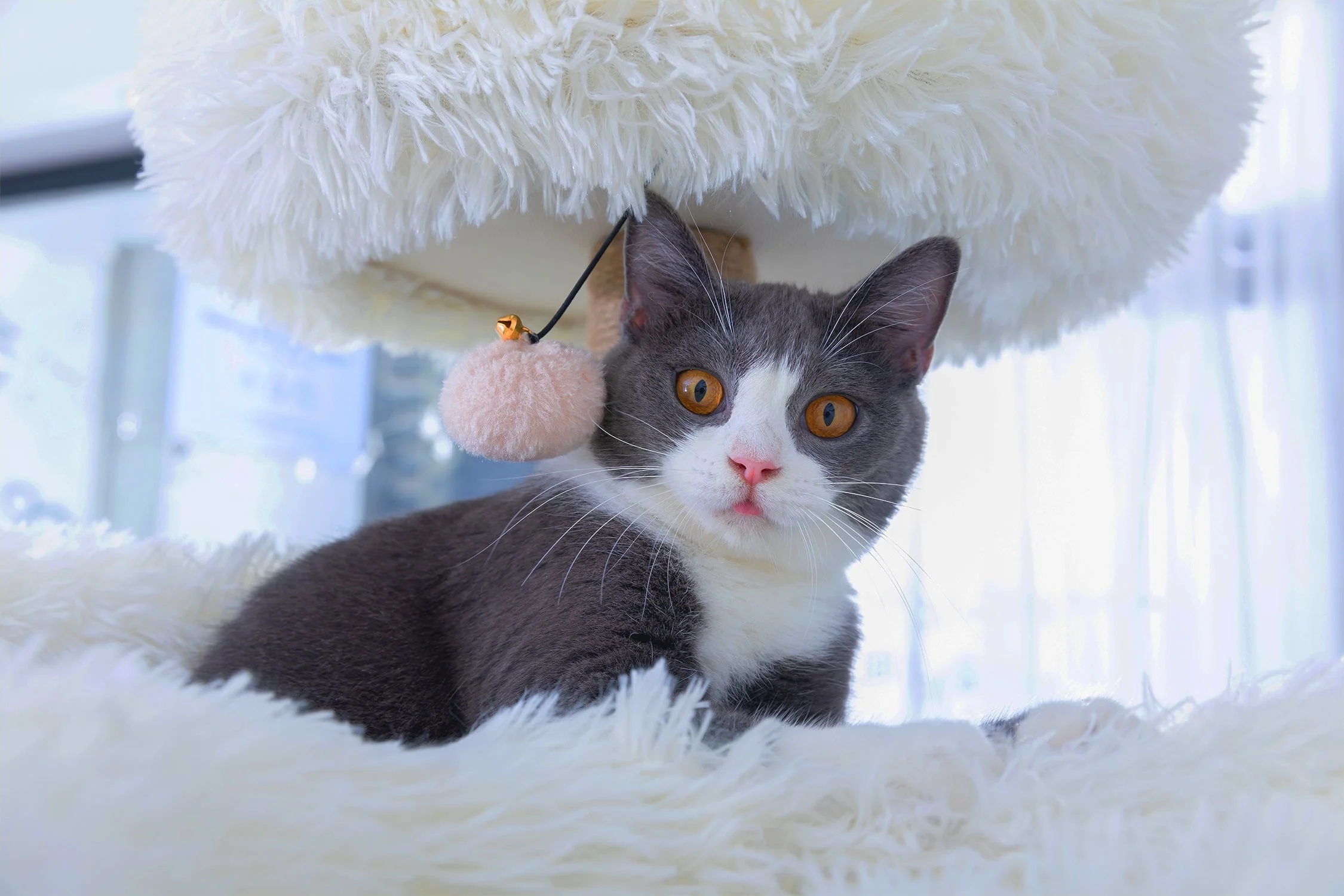 Catry Castle 8-Level Cat Tree – Plush Condos, Hammocks & Ramp - Image 4