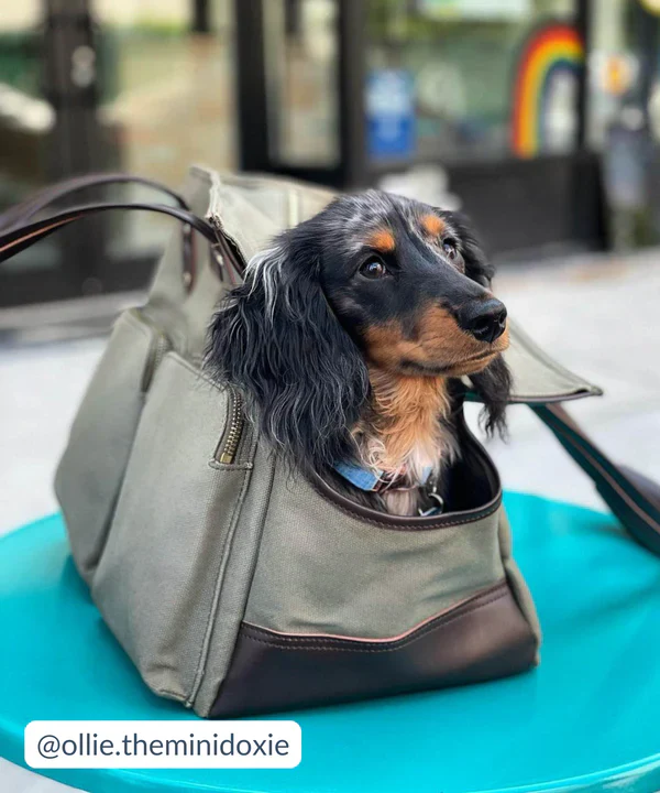 DjangoTote™ Waxed Canvas Dog Carrier Bag and Pet Travel Tote - Image 19