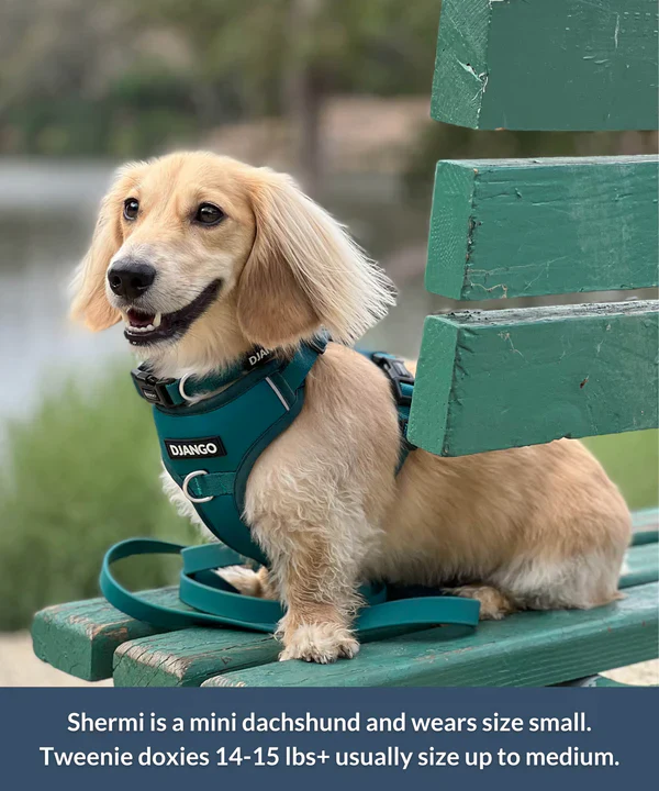 DJANGO Tahoe No Pull Dog Harness - Image 15