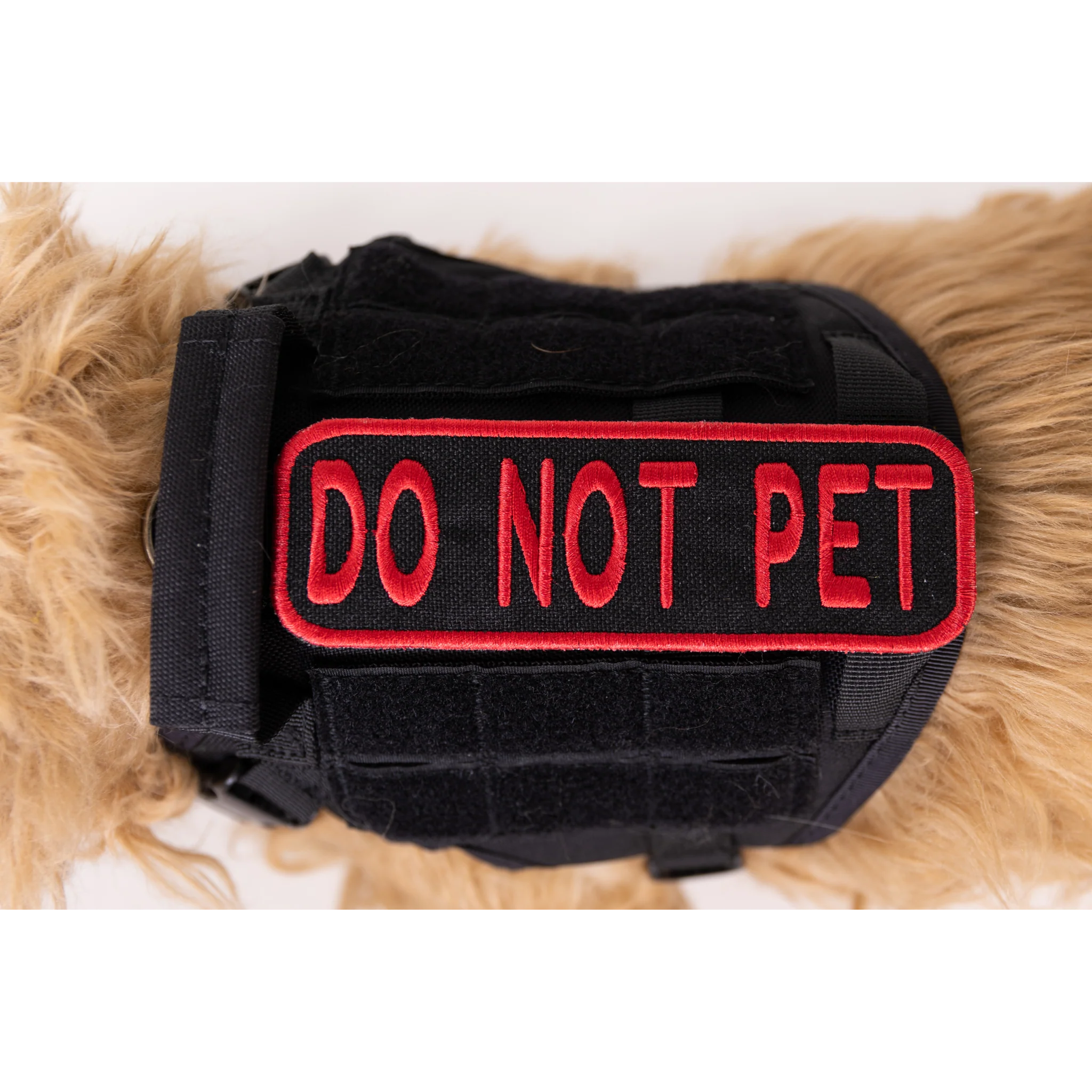 Do Not Pet 2x6 Patch - Image 5