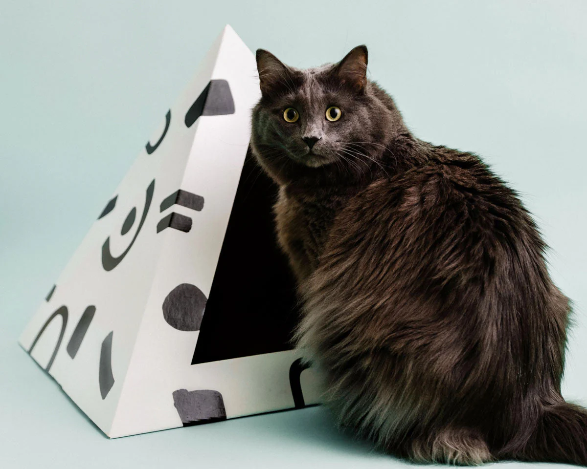 Kitty Kardboard® 'Doodle' Cat Pyramid