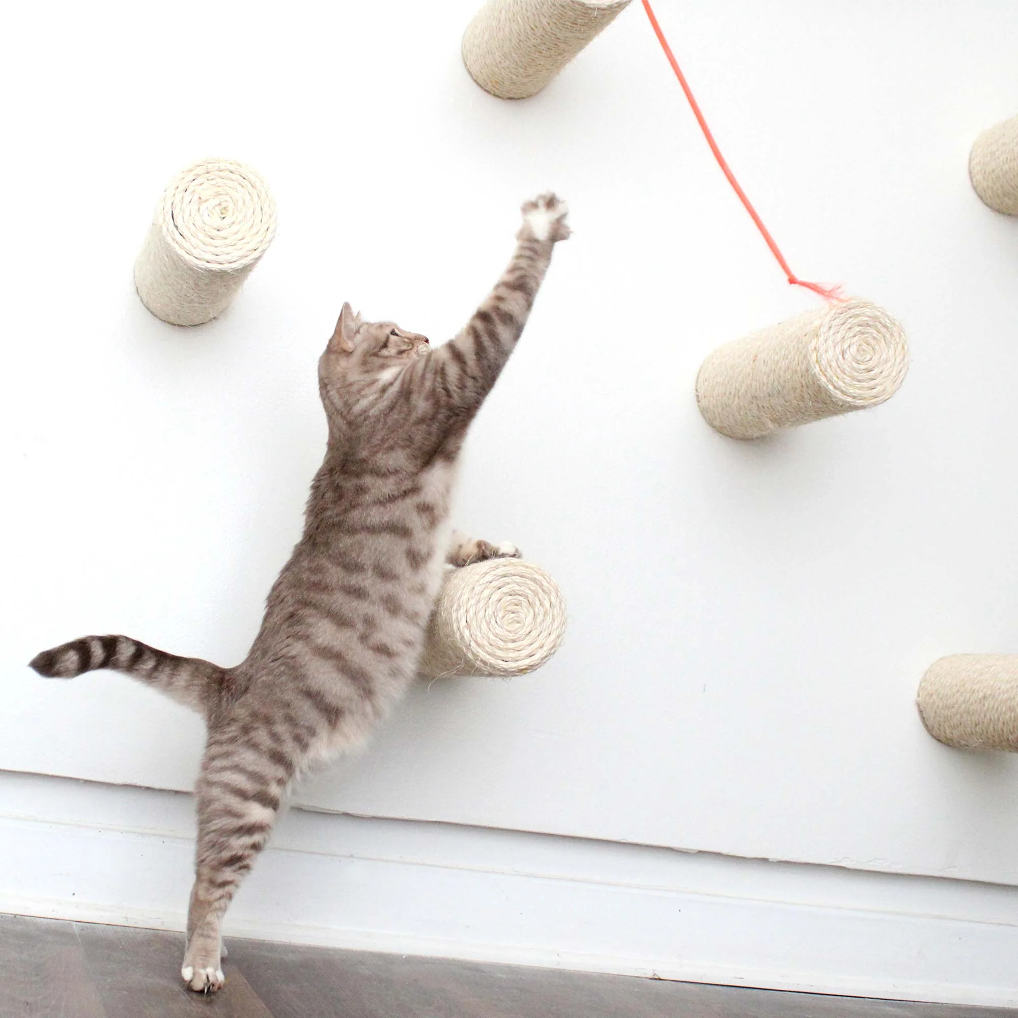 Catastrophic Creations Floating Cat Step for Wall - Image 4
