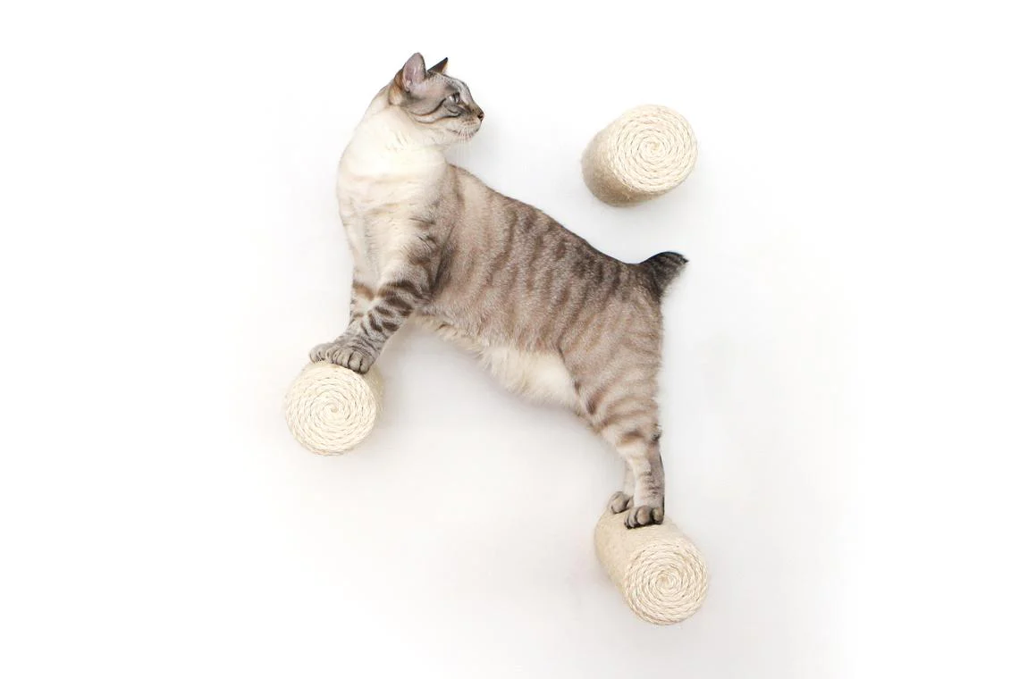 Catastrophic Creations Floating Cat Step for Wall - Image 9