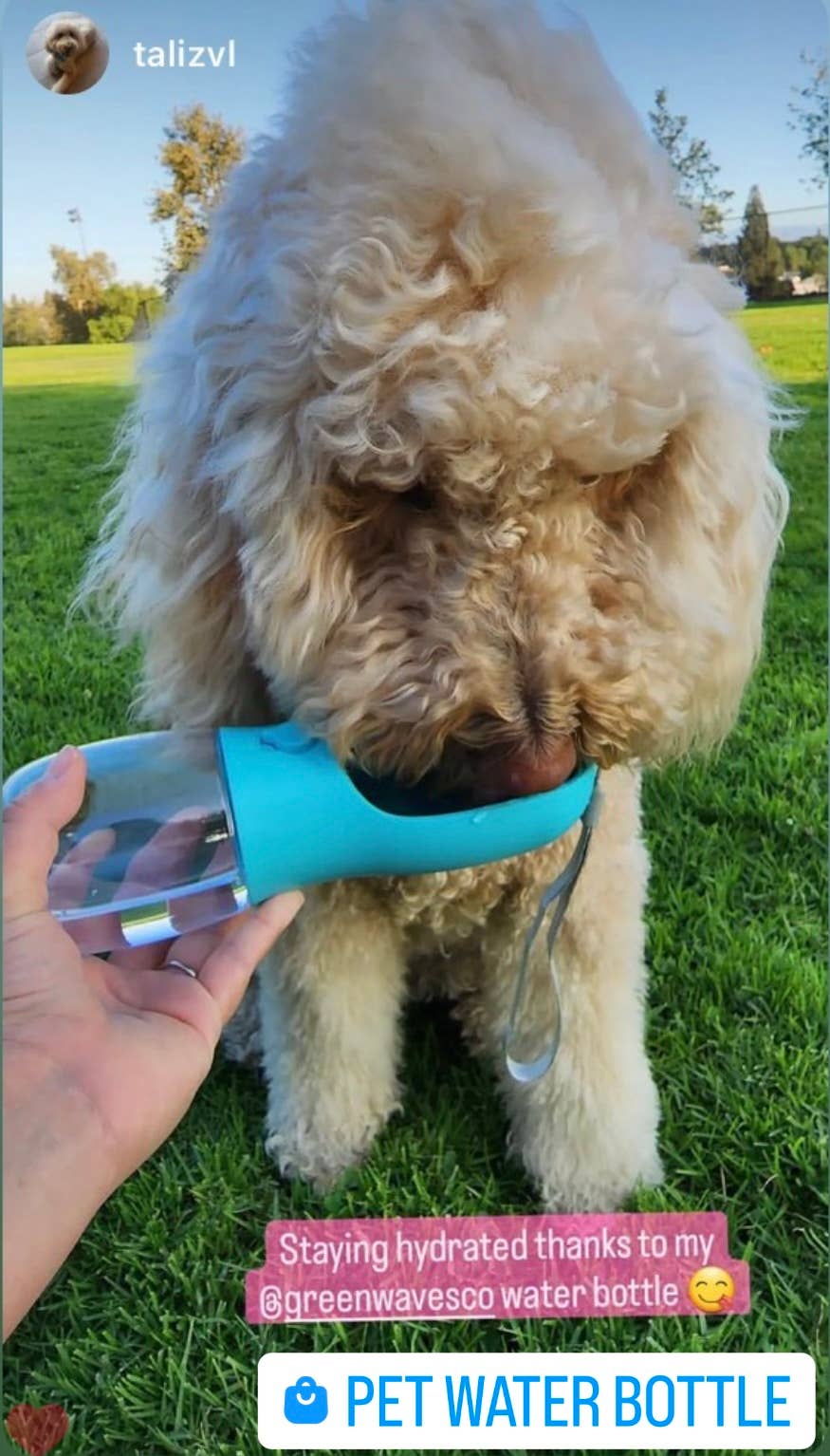 Green Waves Pet Water Bottle - Image 5