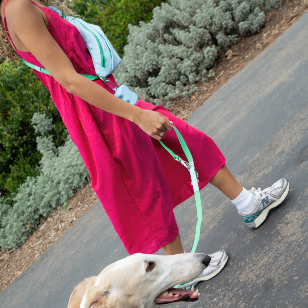 Hands-Free Dog Walking Bag with 3.25ft Leash - Image 6