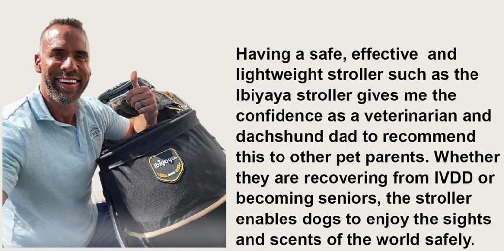 Ibiyaya Evolution Speedy Fold Pet Buggy, Best Foldable Dog-Cat Pet Stroller, 4-Wheel Medium Dog Buggy - Image 14