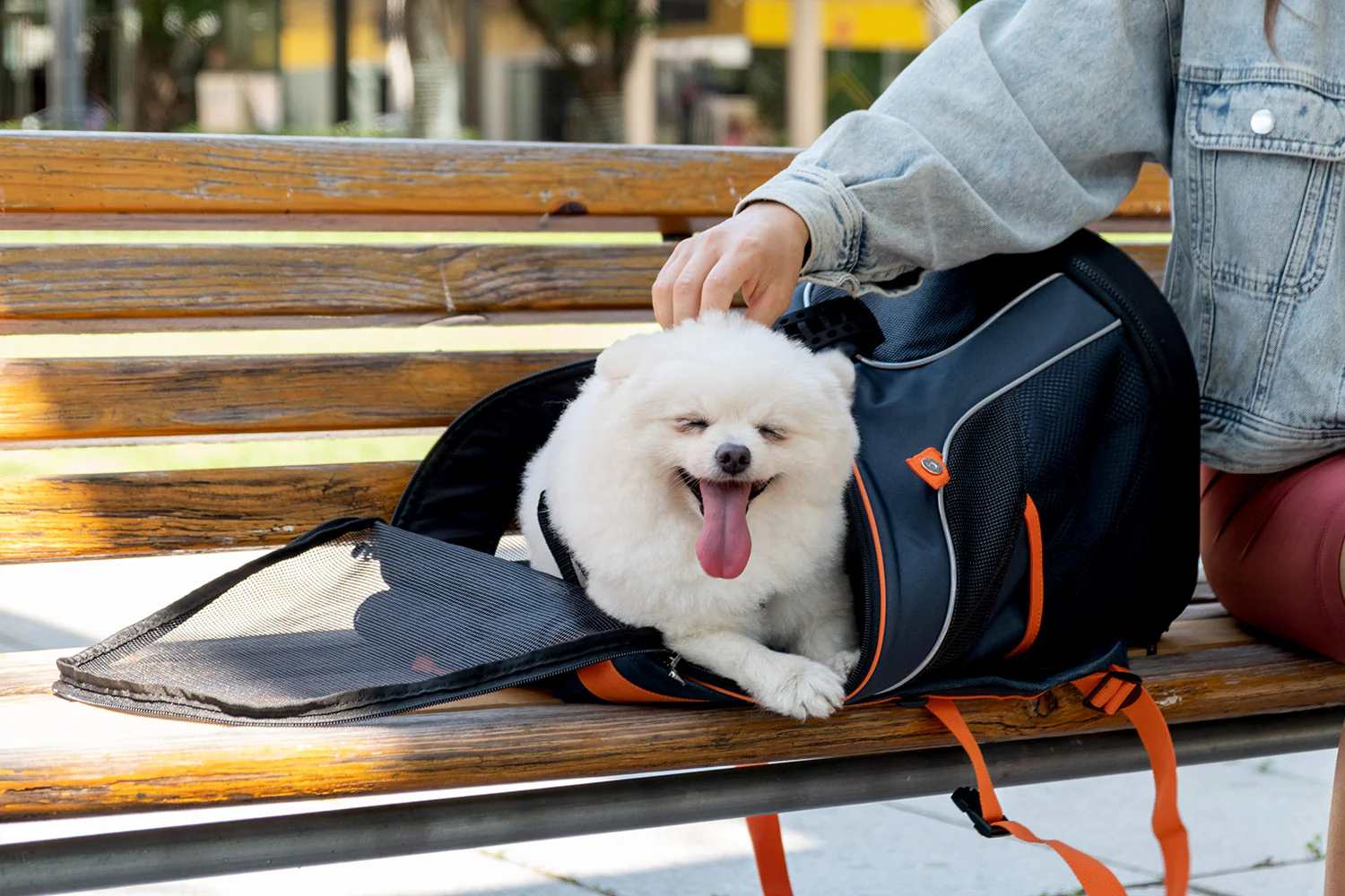 Ibiyaya Ultralight Pro Pet Backpack Carrier, Airline-Approved Backpack for Biking and Hiking, Front-Facing Cat-Dog Travel Bag Combo - Image 15