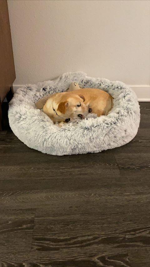 Mr. Peanut's 28" OrthoPlush® Pet Bed - Snowflake White Two Tone - Image 18