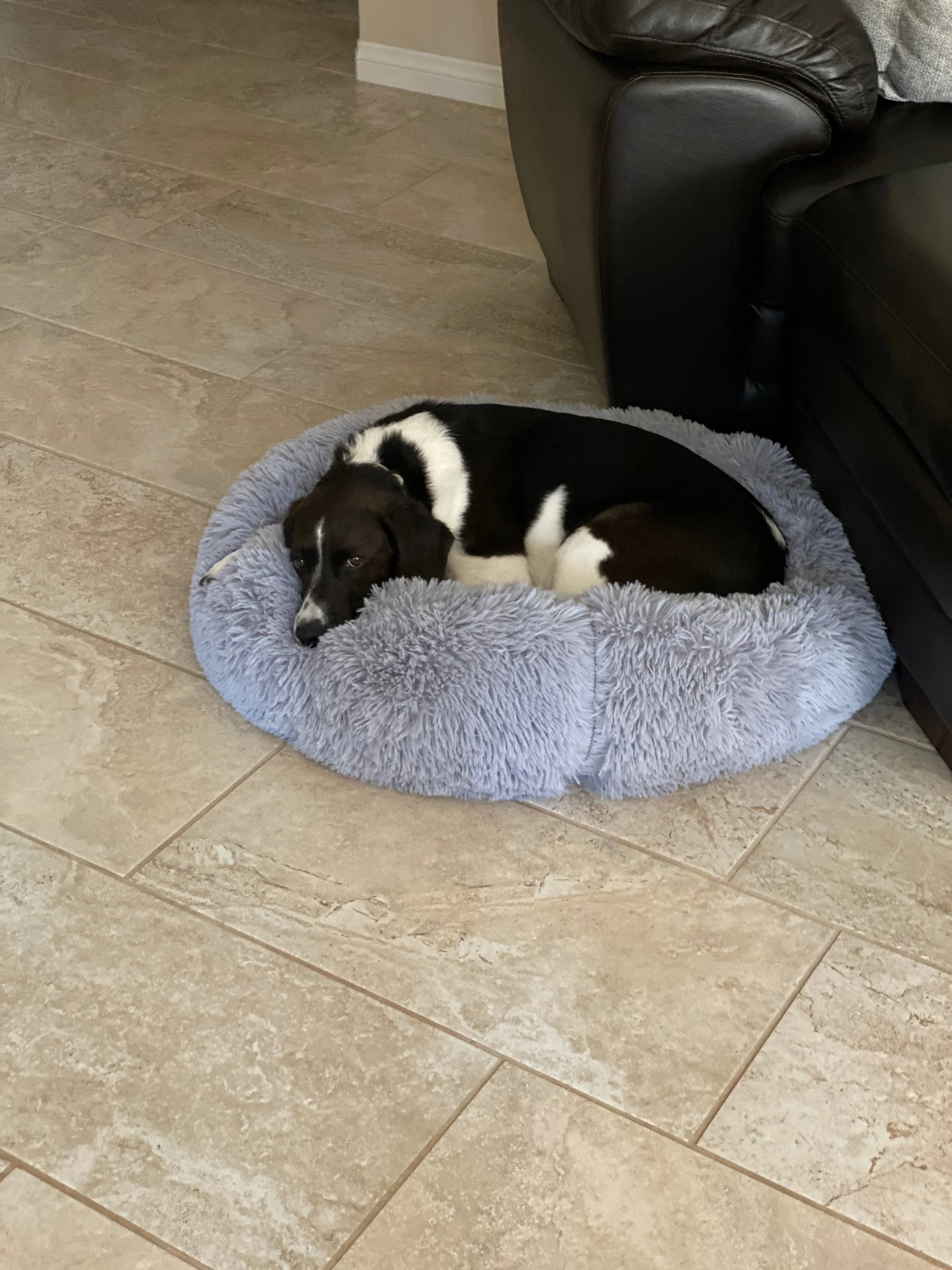 Mr. Peanut's 28" OrthoPlush® Pet Bed - Snowflake White Two Tone - Image 21