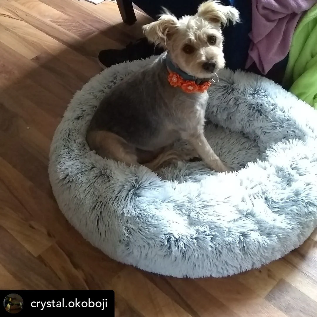 Mr. Peanut's 28" OrthoPlush® Pet Bed - Snowflake White Two Tone - Image 38