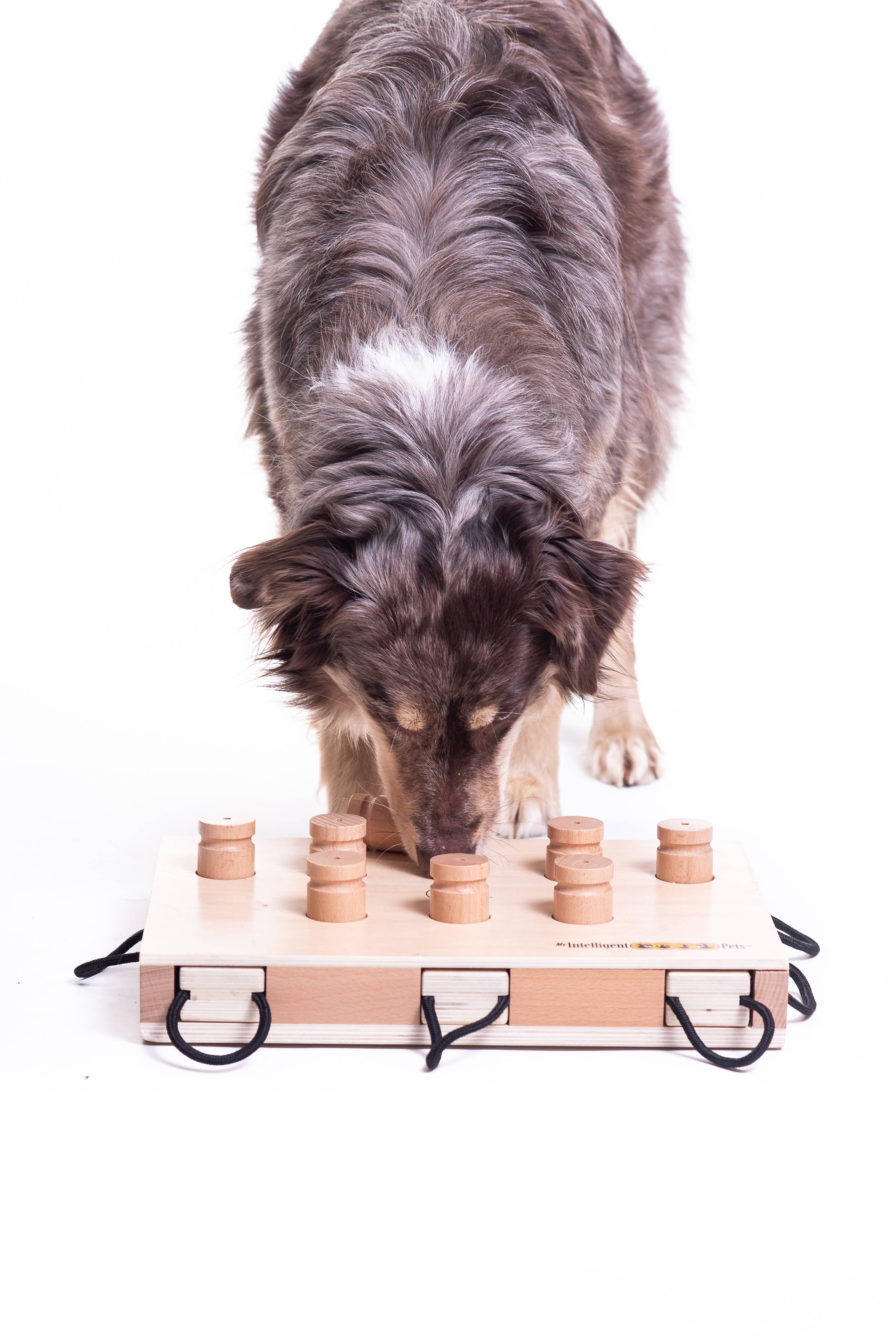 IPet Smart Dog - Challenging Interactive Game for Dogs by My Intelligent Dogs - Image 9
