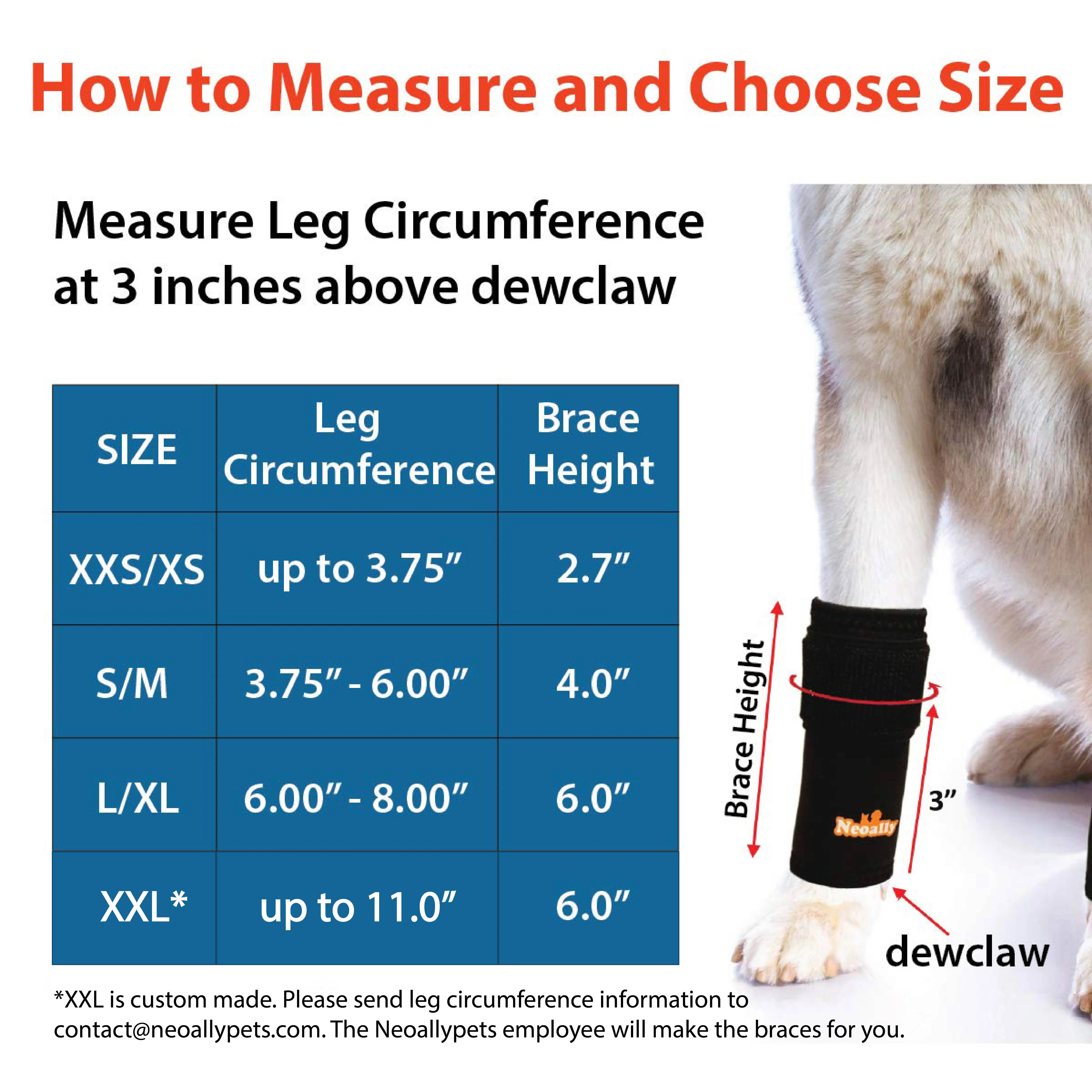 NeoAlly Dog Front Leg Braces: Enhance Safety with Reflective Straps (Pair) - Image 3
