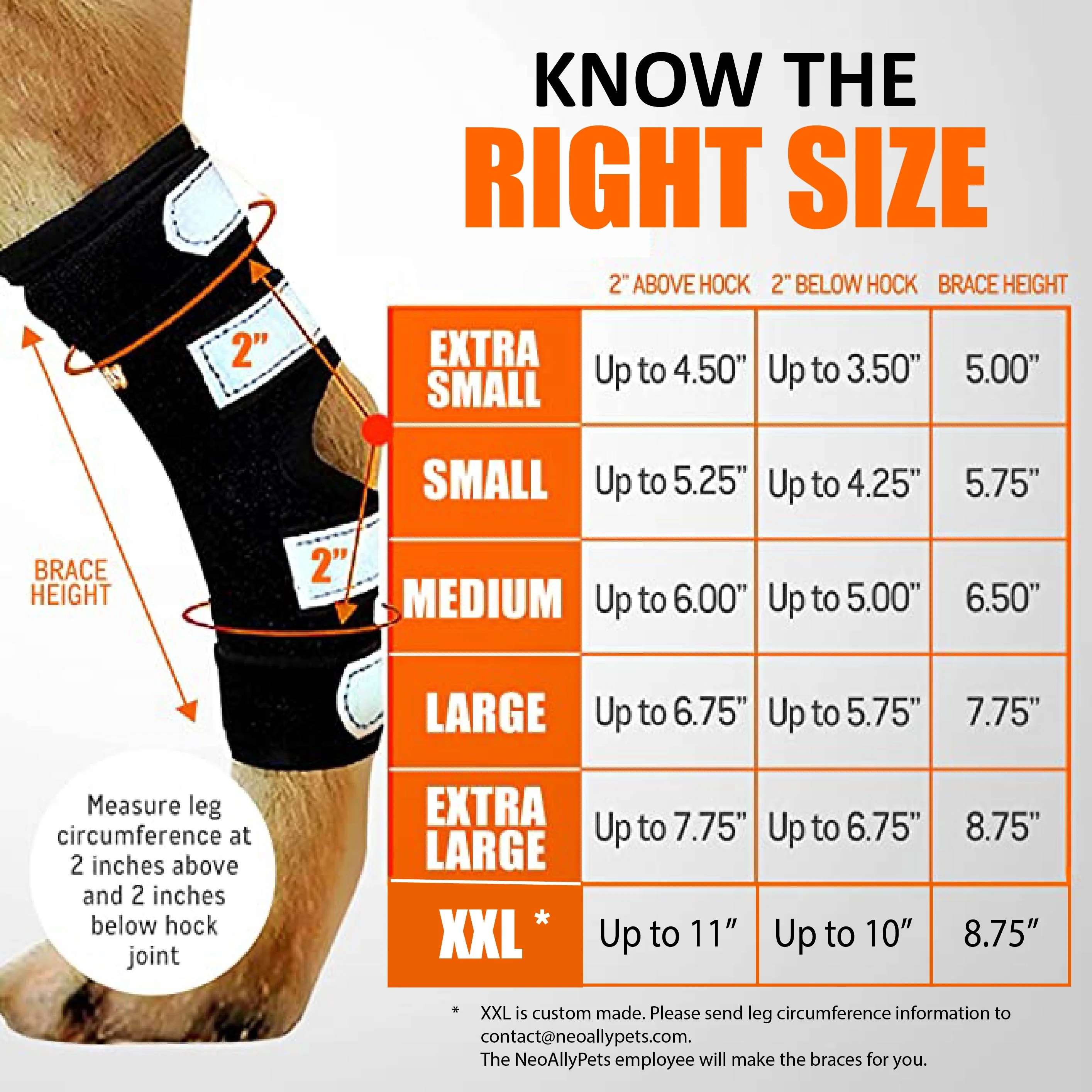 NeoAlly Dog Rear Leg Hock Brace with Safety Reflective Straps for Large Dogs [Long Version] - Image 2