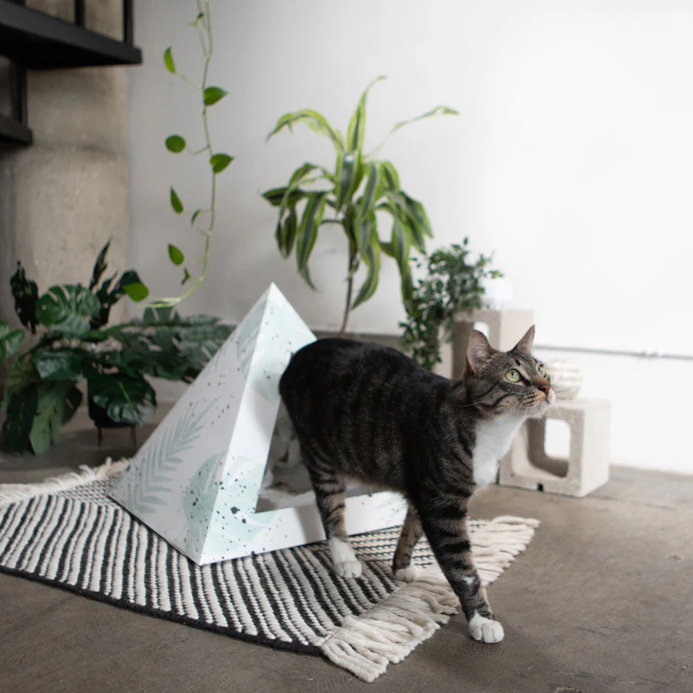 Kitty Kardboard® 'Oasis' Cat Pyramid - Image 7