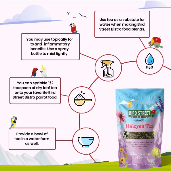 Parrot Food Super-Pack - Image 6