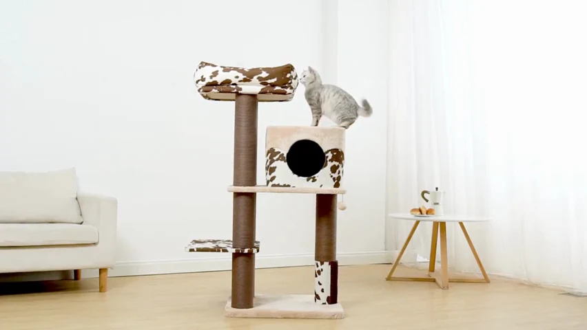 PetPals 50” Grand Maine Coon™ Cat Tree - The Cowboy - Image 8
