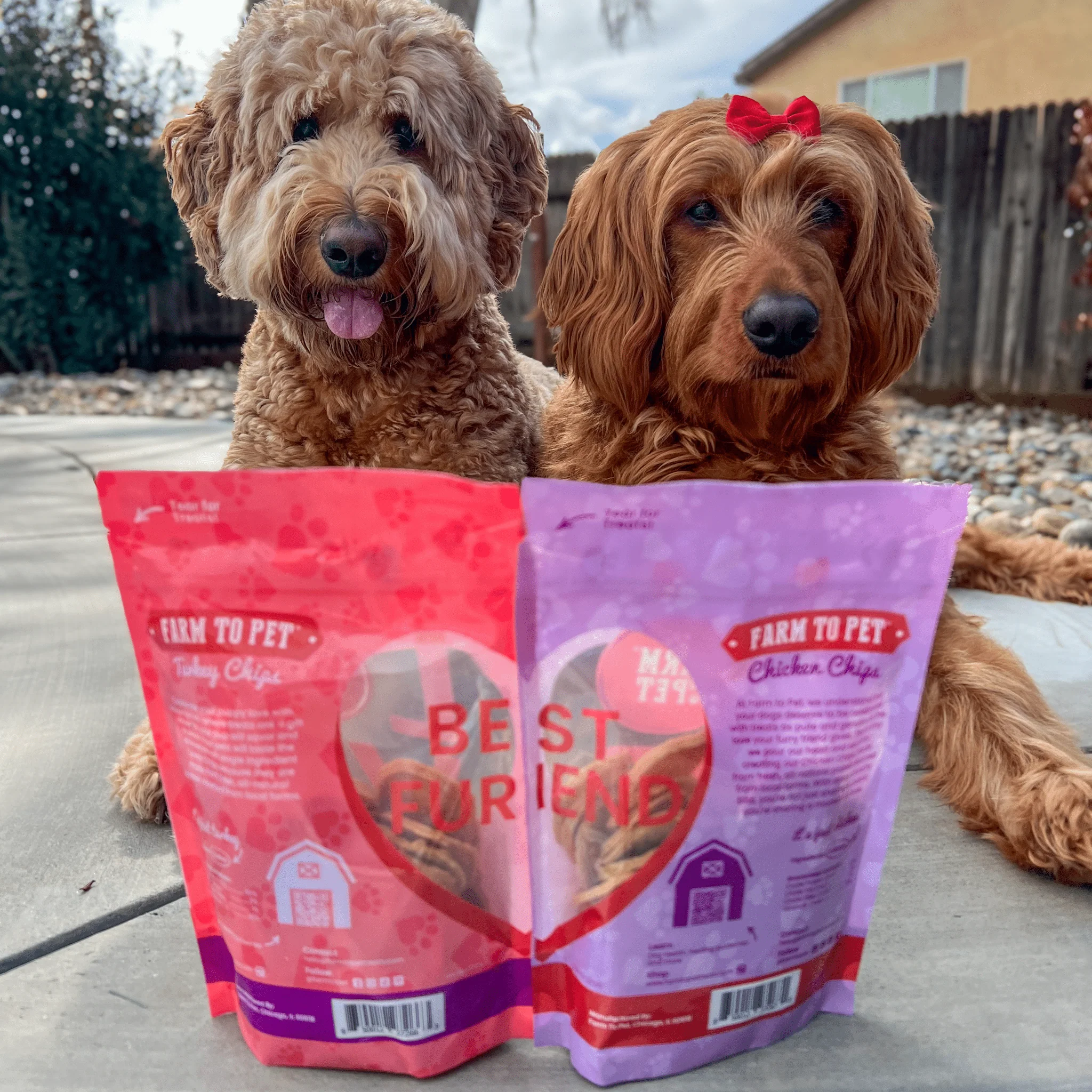 Pets Love Chips Bundle - Image 6