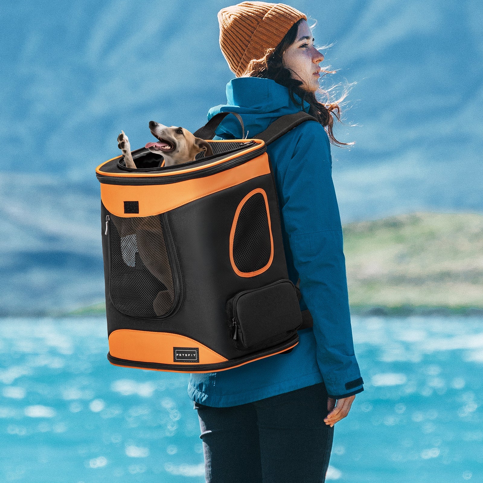 Petsfit Soft Pet Backpack Carrier for Hiking - Image 9