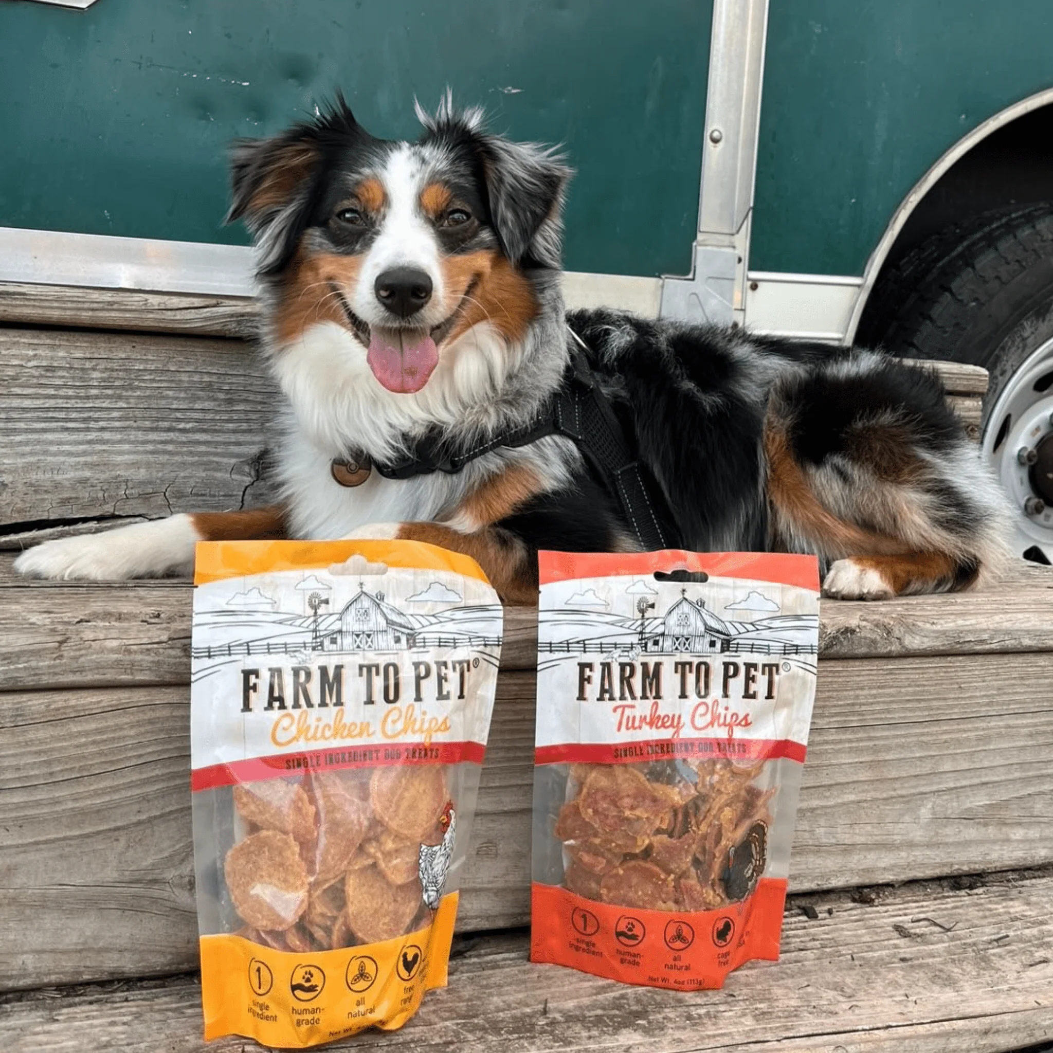 Poultry Power Chicken & Turkey Pack - Image 6
