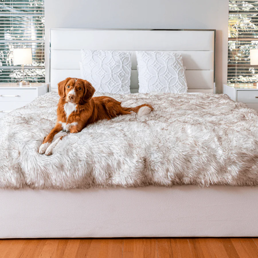 PupProtector™ Waterproof Throw Blanket - White with Brown Accents - Image 11