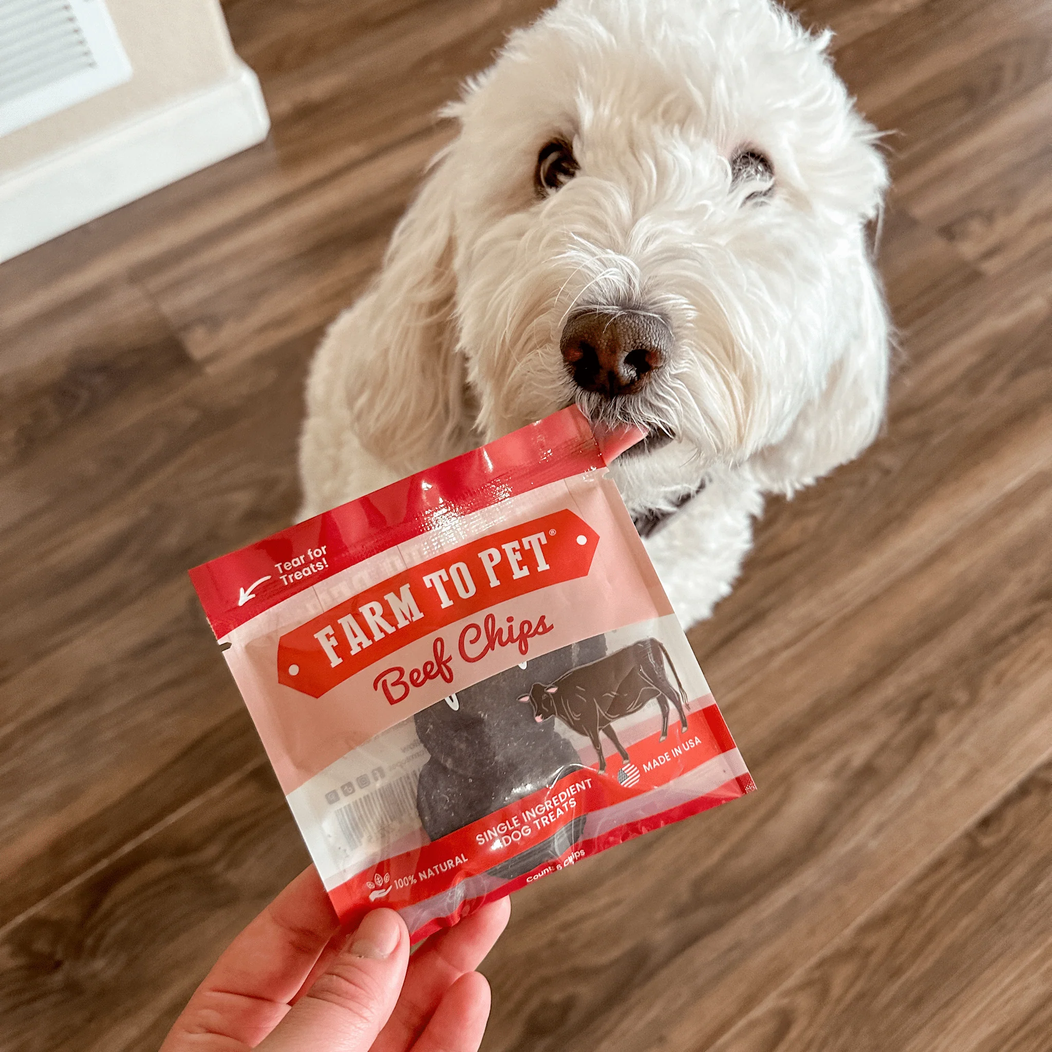 Puppy Packs 'N Snacks Dog Treat Starter - Image 6