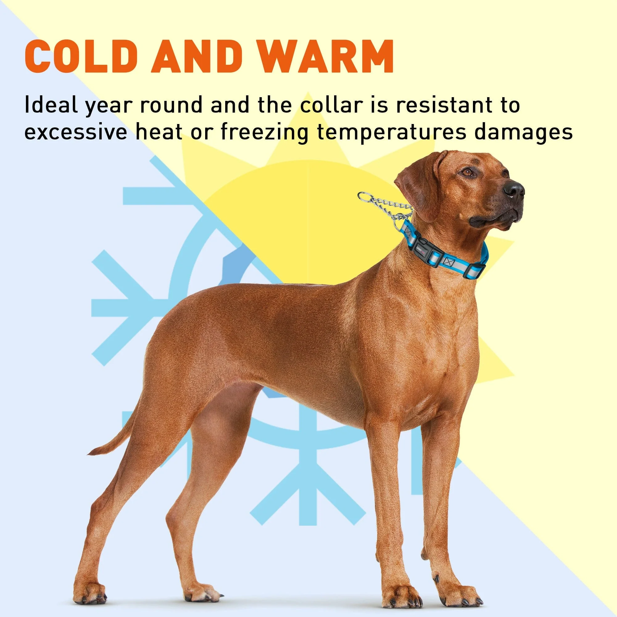 Reflective Biothane Martingale Collar with Quick Release Buckle - Image 8