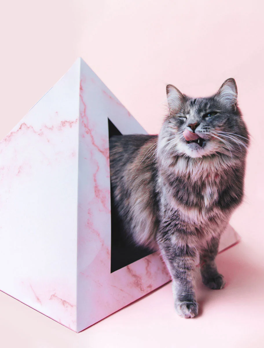 Kitty Kardboard 'Rose Quartz' Cat Pyramid